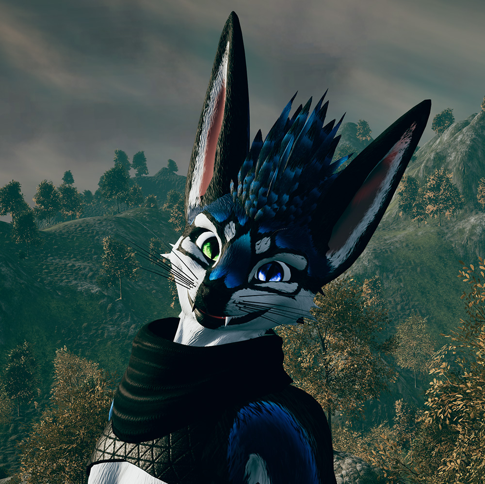 Discord VRChat Furry